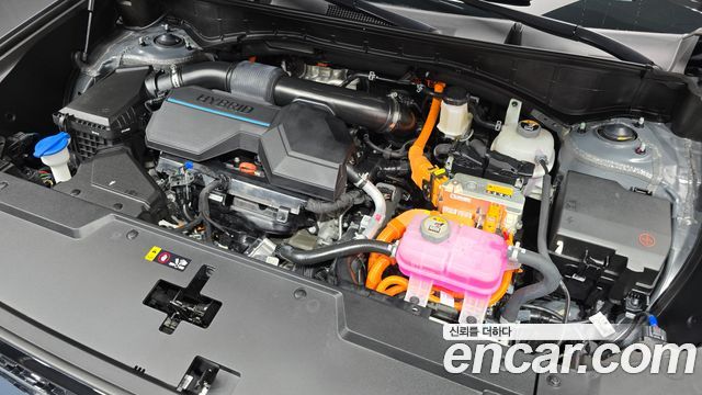 현대 싼타페 (MX5)