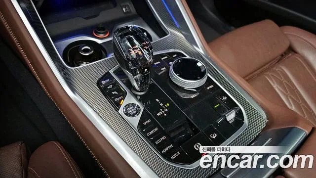 BMW X6 (G06)