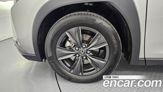 렉서스 UX300h