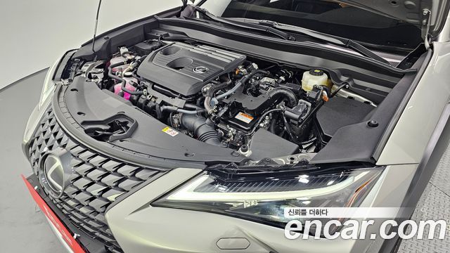 렉서스 UX300h