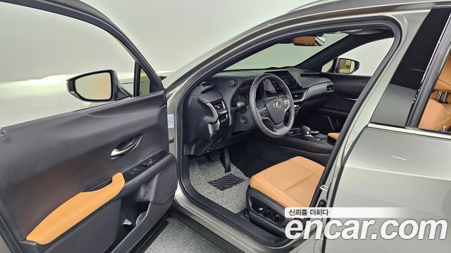 렉서스 UX300h